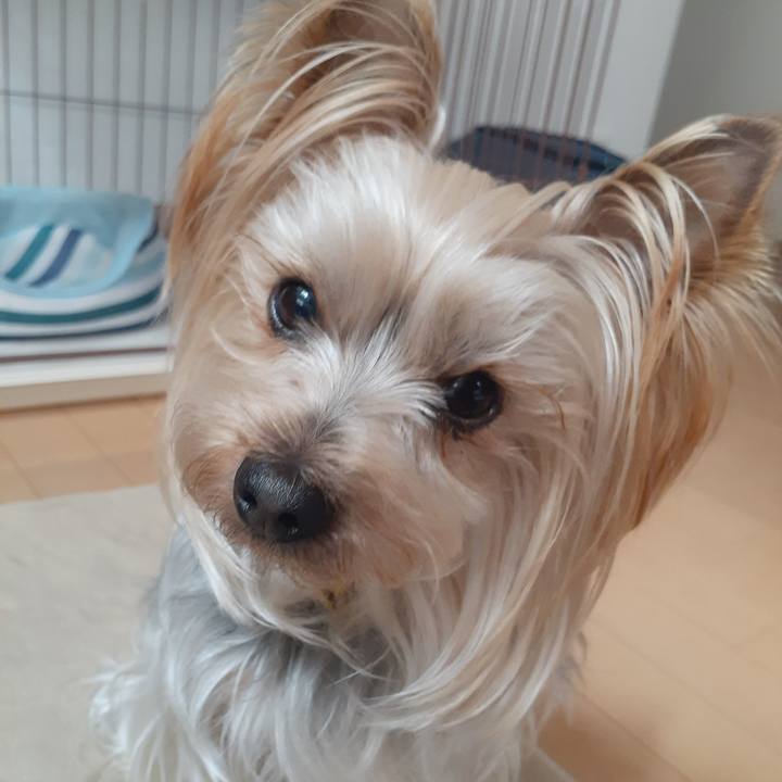 3699a4d6 28f4 47a9 847e 2f923d6aa684 1647655096610