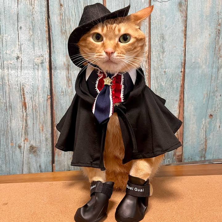 3699bed3 05ec 4e5a 9b92 790b6e574dfe 1678591271005