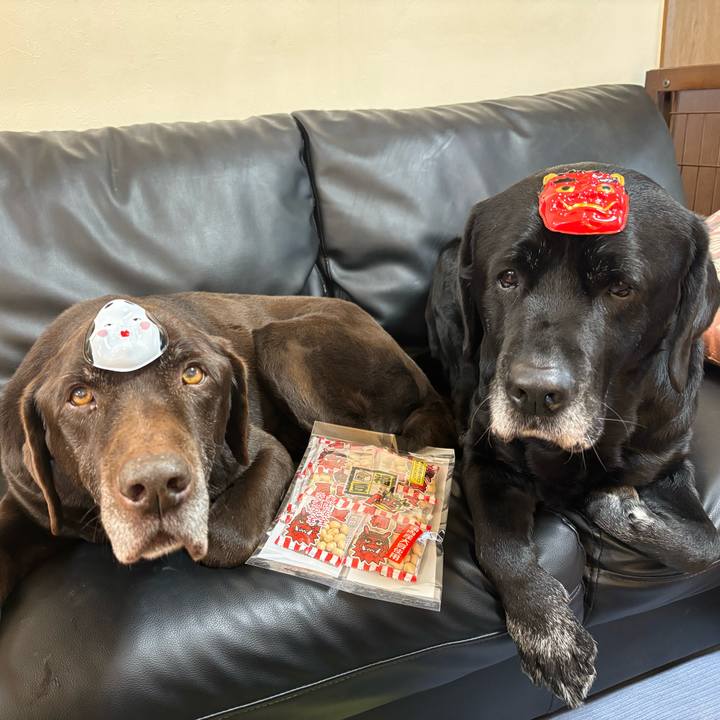 3699de5e 8598 467f b31e b9b946cf00db 1770123186966