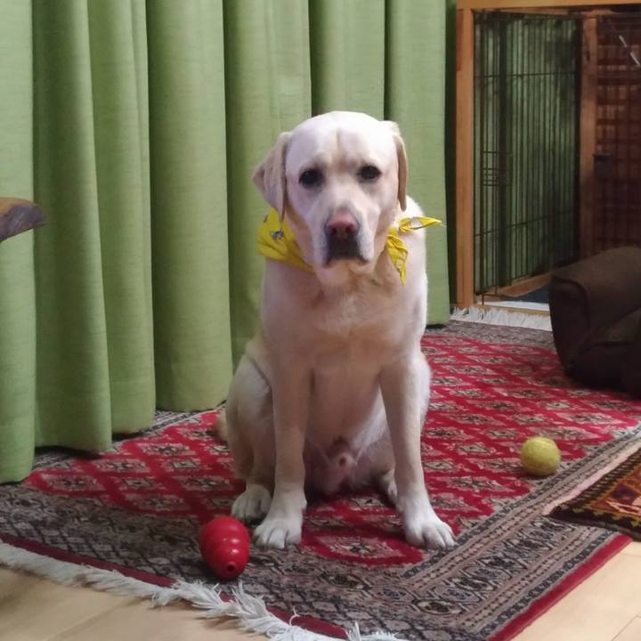 3699e0ee 60fc 40b1 9e34 7eea50a197ae 1518192347887