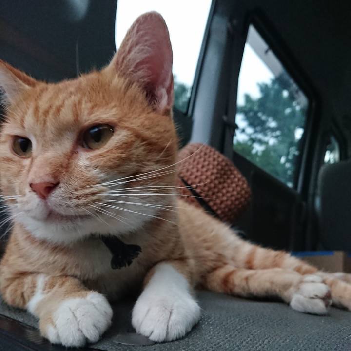 369a37ff 663b 494c b9ac 619e712c1967 1568192948459