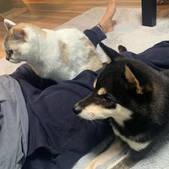 369a5b71 b880 4c58 bb78 ccec12ec5563 1667556729686