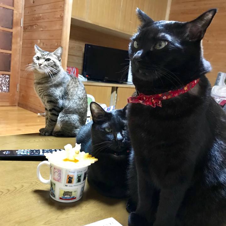 369a8b85 602f 4384 878e db7d52c446a2 1543494641618