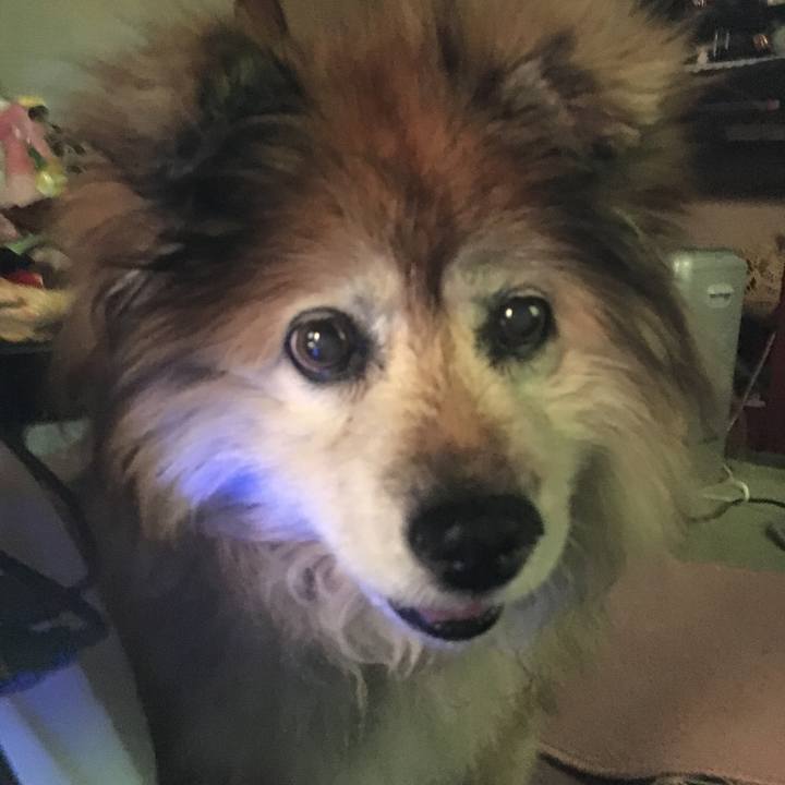 369aaa0c 0b1a 4c98 9a62 39c1114d7dbe 1605747848978