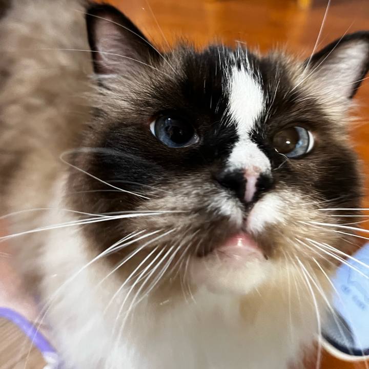 369ae939 d564 4c8a b041 3a0afced93e9 1692282811558