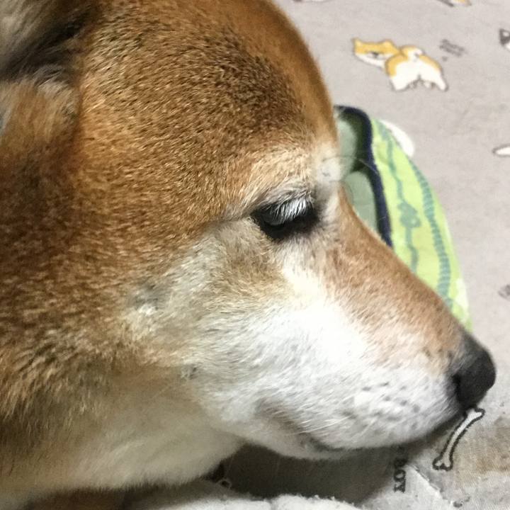 369b2661 282a 4036 a231 40d4d34120f3 1619957032994