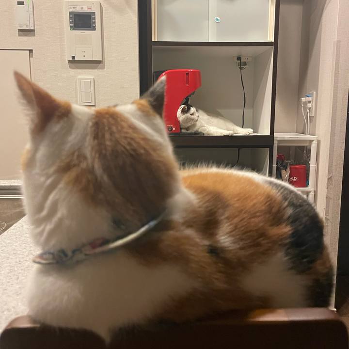 369b37d2 c5dd 431b 80b6 06e834bc2f93 1702113343340