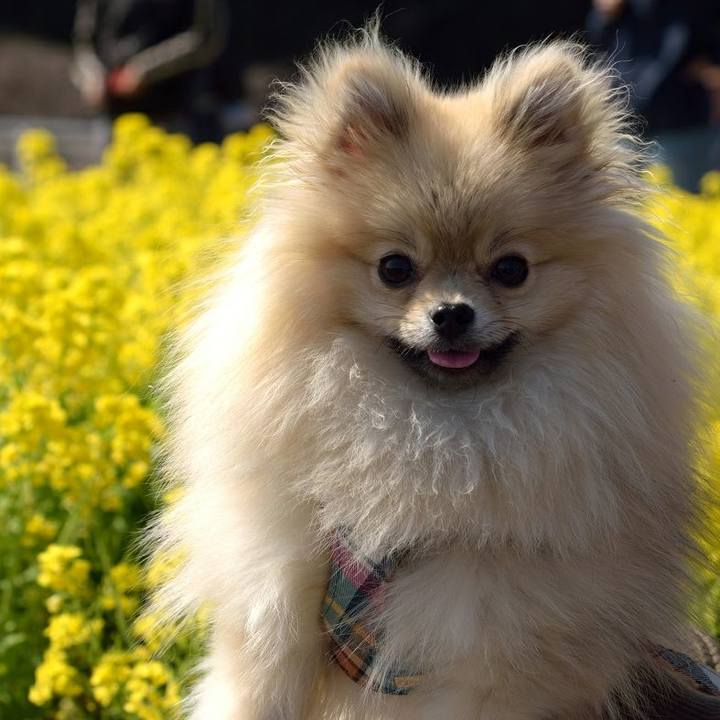 369b5252 b922 4dc8 88fc 499f8222f47e 1522021977375