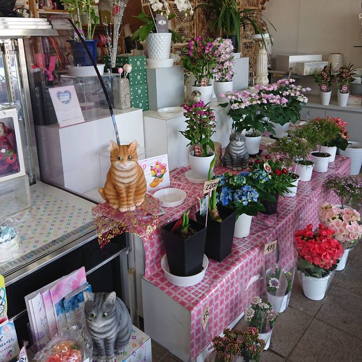 369b6872 0392 4652 b1d0 d5c076bc51c7 1617170546633