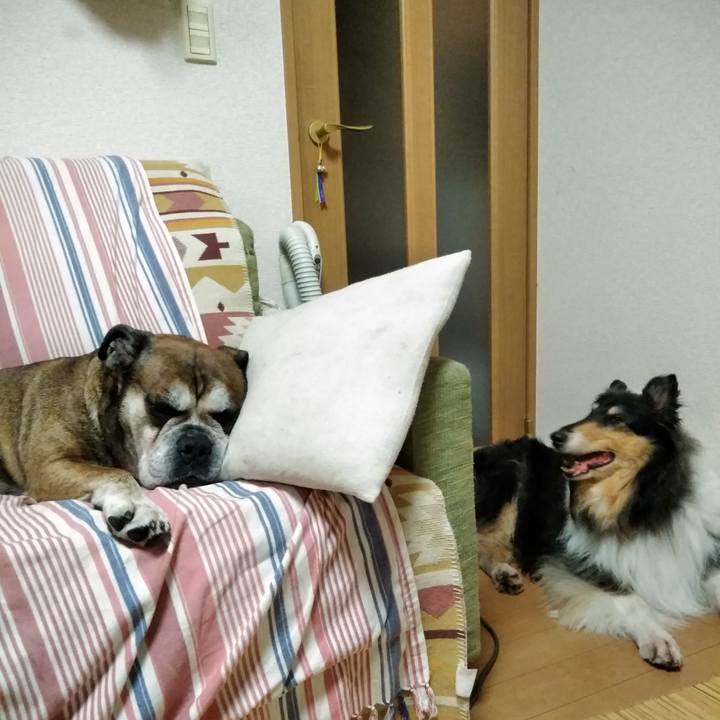 369bbf70 66e5 4b53 bcb9 e145ab0a37a9 1534425835358