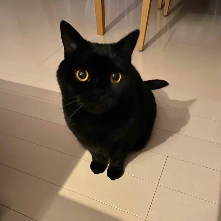 369bef2a c411 4e63 b536 f59287b18150 1713442794685