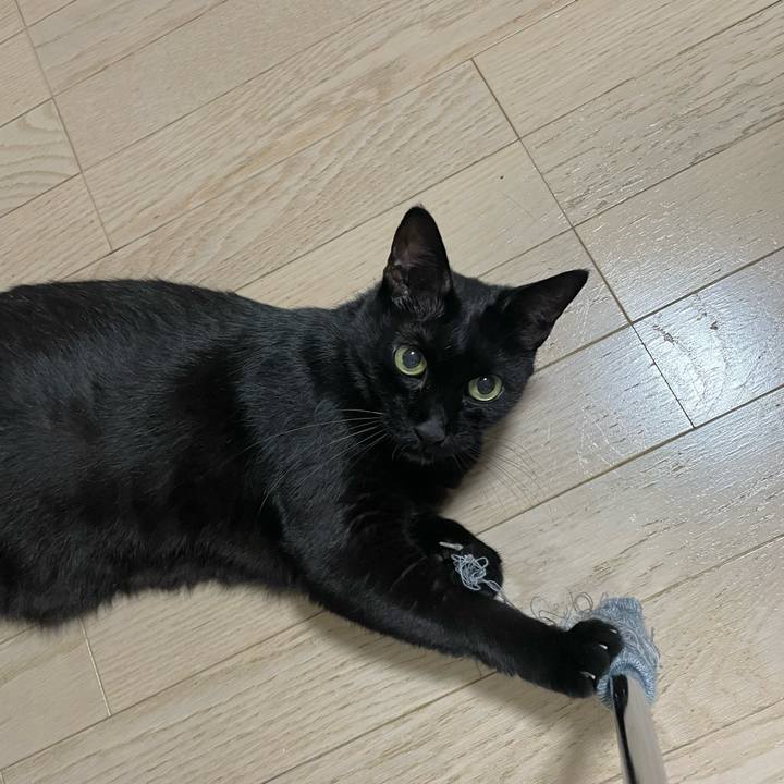 369c0cdc 8f0b 4731 b6a5 8af1d0e7afc9 1759412133749