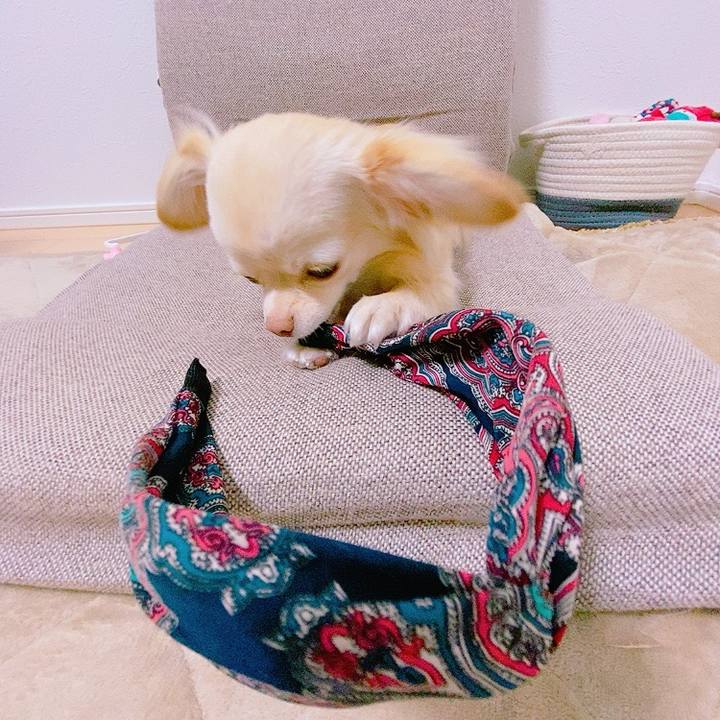 369c43c8 9a2e 4ccf 9814 849c3cfabd93 1620200536828