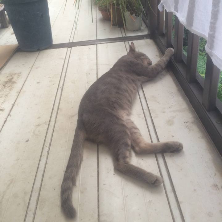 369c8373 8bd9 44fc 9135 3e4bc6c08828 1566112067007