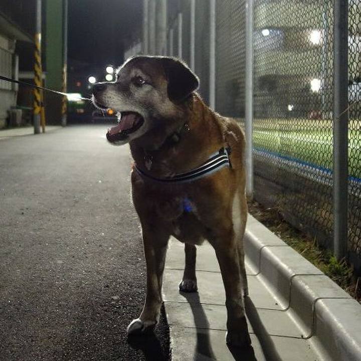 369c8ae0 0f9f 401a a0d0 fc9844af78cd 1520941224964