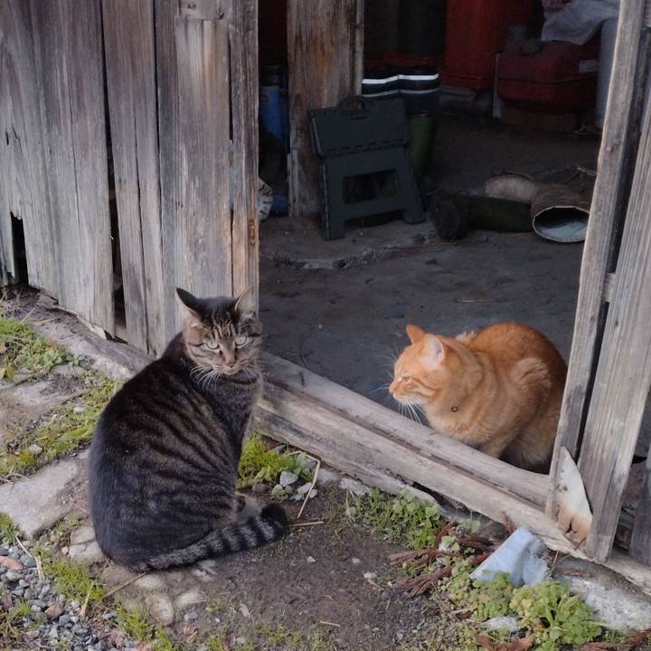 369cad18 d516 4b4f b2fa 8c84a89cf061 1700035316854