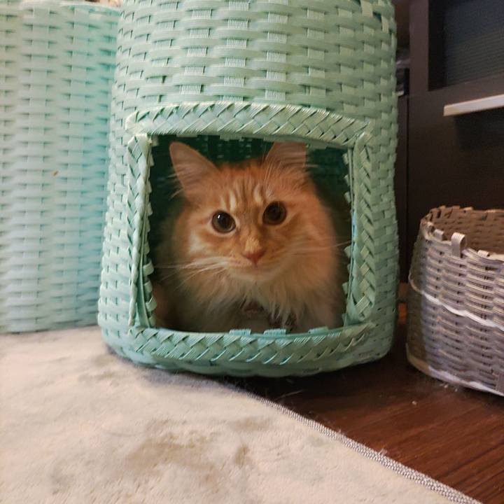 369ccfd9 2cee 41d8 b862 58af7cc8382a 1673865012147