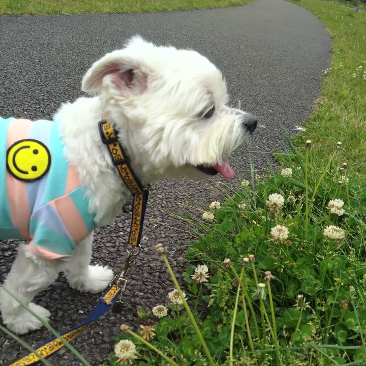 369cd3ec 4a1f 4f0b b7ce e32196f0b8b2 1681481583002