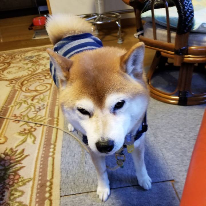 369cf1ba 54c5 4002 9425 b581afd1542b 1549958908626