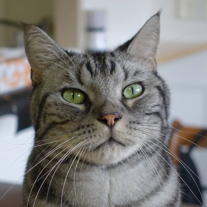 369cf2cb 0811 471c b174 d44e740468d8 1731755900160