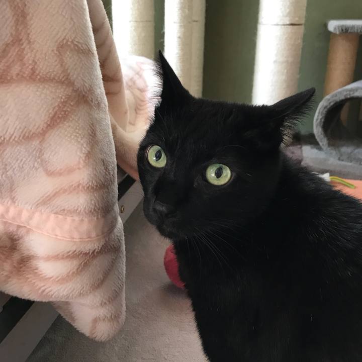 369d05c3 17d2 4ed9 962c 962dc75f8dfe 1526262138093