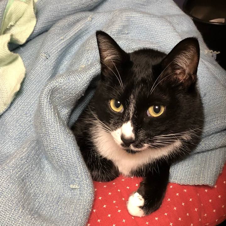 369d088c 6b2b 4d9d 8f60 dbadf0568883 1542080955199