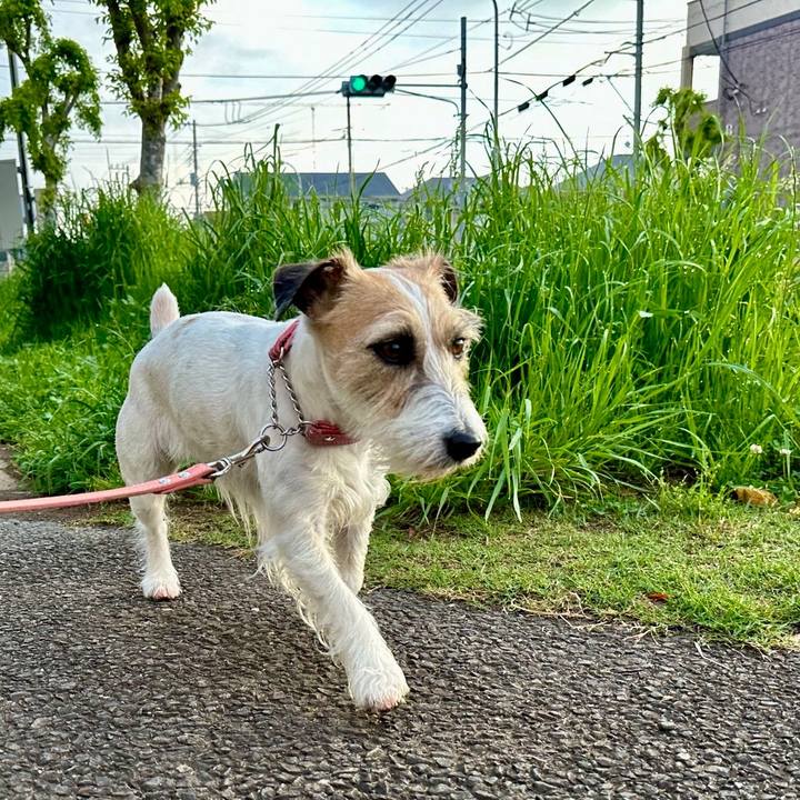 369d2f67 90e2 4dba 928d 26377b4959d8 1714091199925