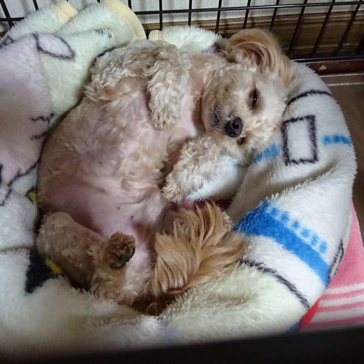 369d3691 2f88 40b4 b66c a7fe5de23fd2 1547911993968