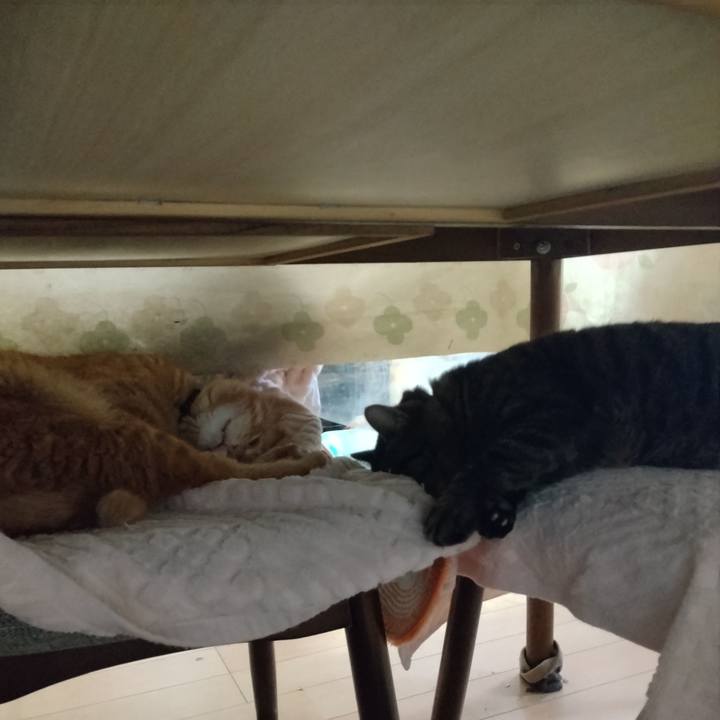 369d481a fb59 423d 883f 0e5b99b80b9f 1677466500474