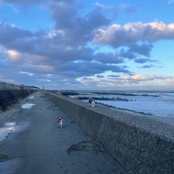 369da8f0 9016 4f8b 9f55 702645c65f7f 1705447760040