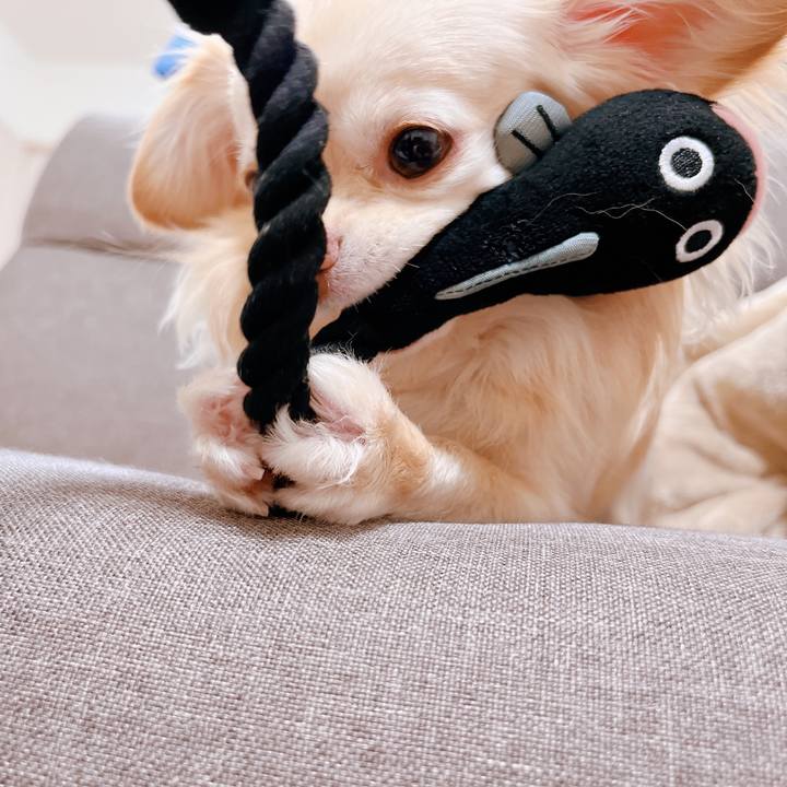 369db2c5 6069 4572 be72 9bbf03a882f5 1652684039996