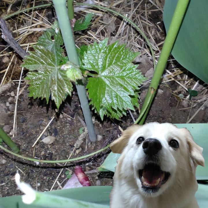 369dde40 080d 4f95 819f 0d9c61d01a2d 1650624321827