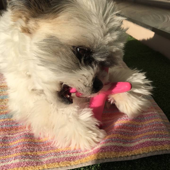 369e0986 95f9 4de3 9ca4 4f69deaa6ce5 1517356128962