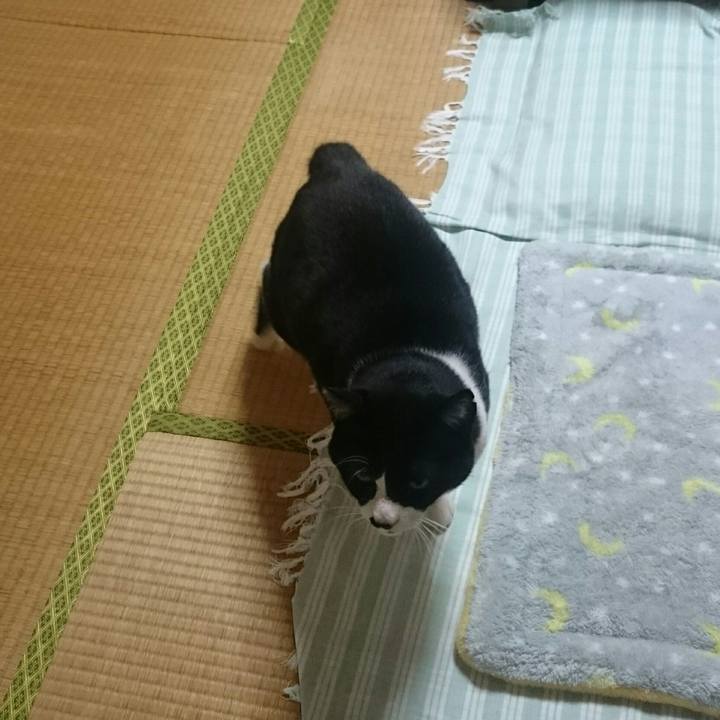 369e10ff a104 4f92 8e35 8897ebb978e6 1510716818088