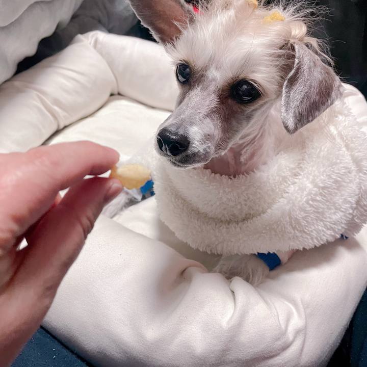 369e22dc 9270 449d b64f 6b19aa1a3363 1770282146589