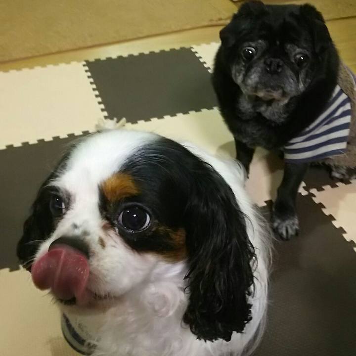 369e4de4 1891 4c44 978e e3f944f2c947 1520604106754