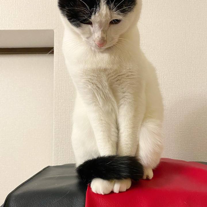 369e6003 495f 4858 8536 ae0f6734509d 1610586461380