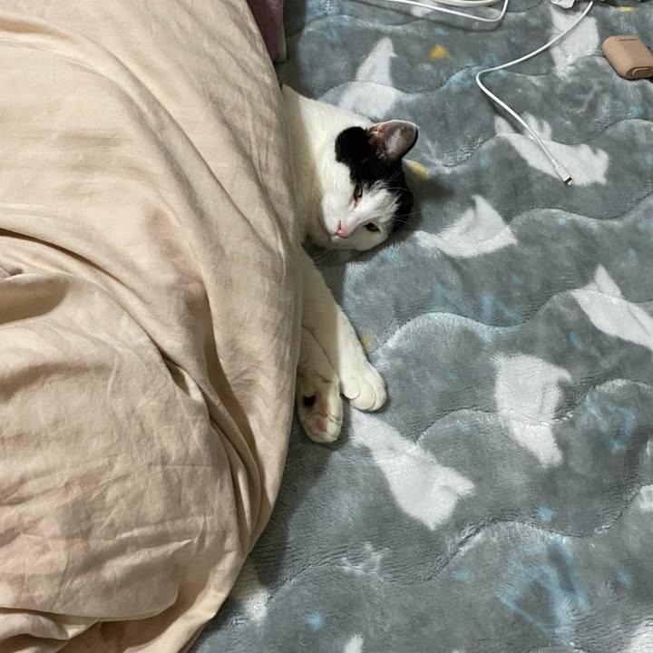 369e7c6d 492d 40b8 b4b8 324bd3cb034e 1634625542820