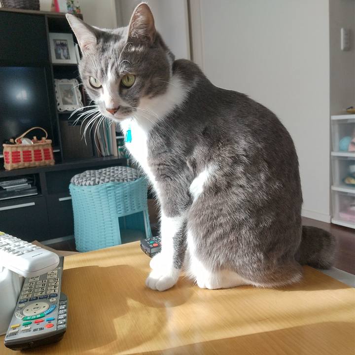 369e8235 992d 4ba1 966a ab1425a7d637 1639636039308