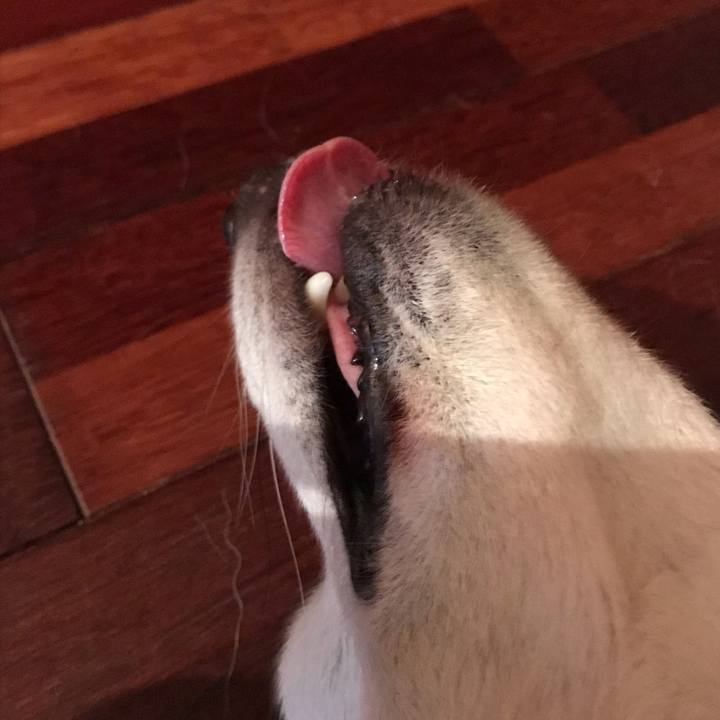 369e970d 4c38 452c b7d6 9d35b9101f35 1587347847424