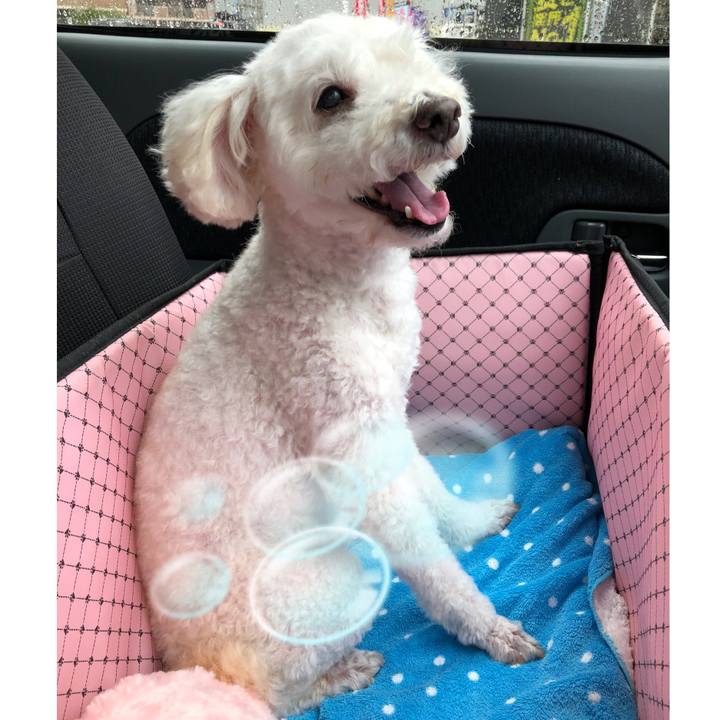 369e9df4 92f2 436c 95e3 84b90df7384e 1537015835643