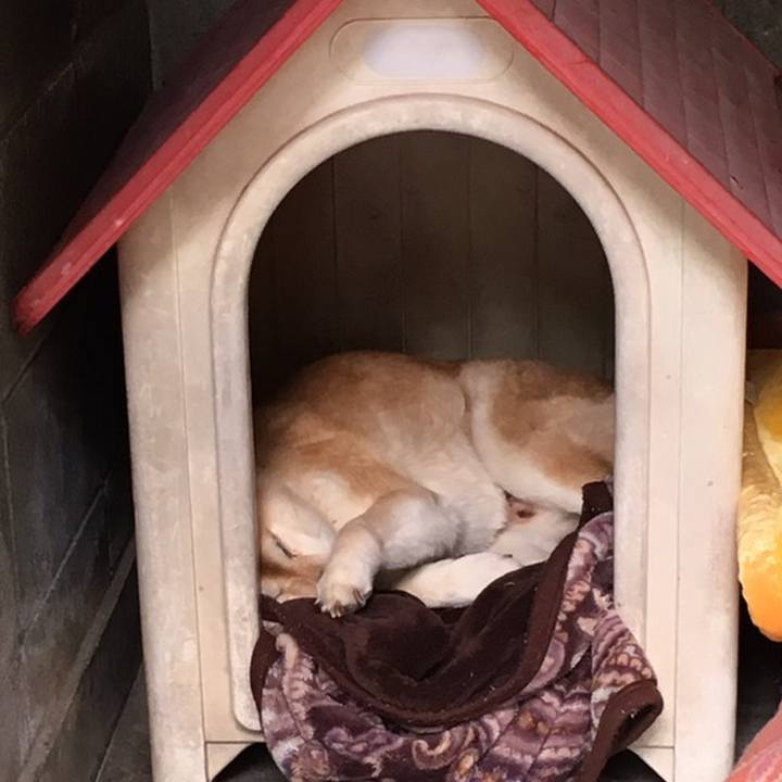 369eaaf4 408e 4331 bb0f da2d39f85352 1558421595096