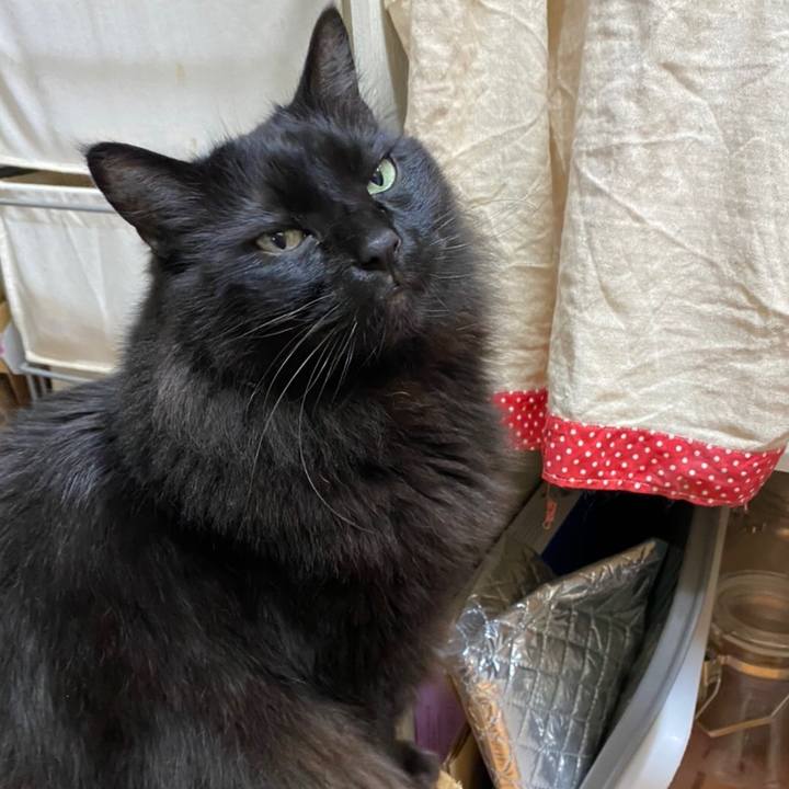 369eaba1 6cd6 4060 90e5 246476a69e93 1583253546937