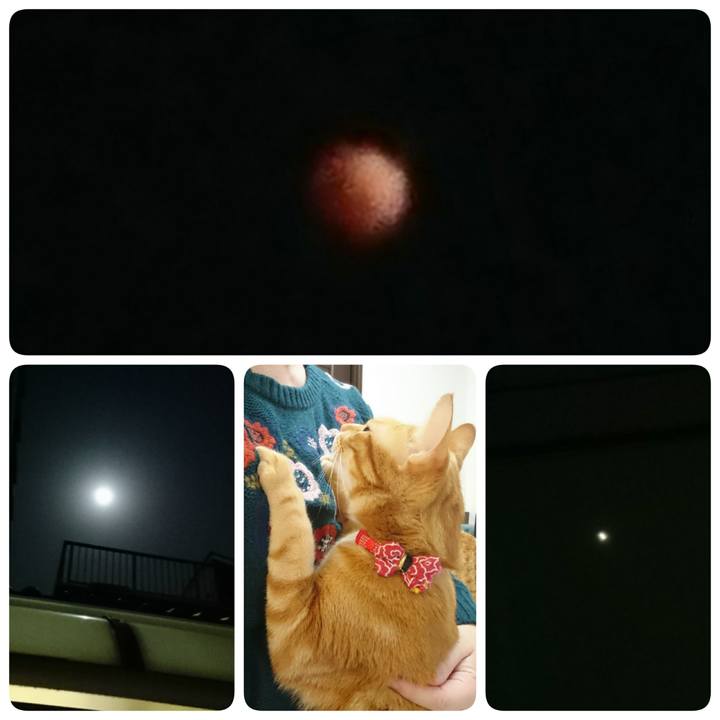 369ec8da d010 4d85 ae90 31429a5ffb48 1517404531953