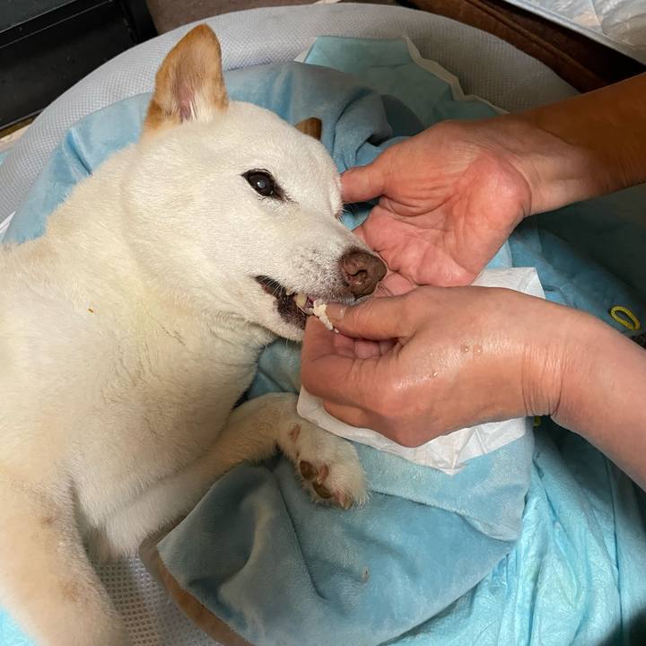 369ec978 a4e4 44ff a7c3 9731ec3ce928 1652883448711