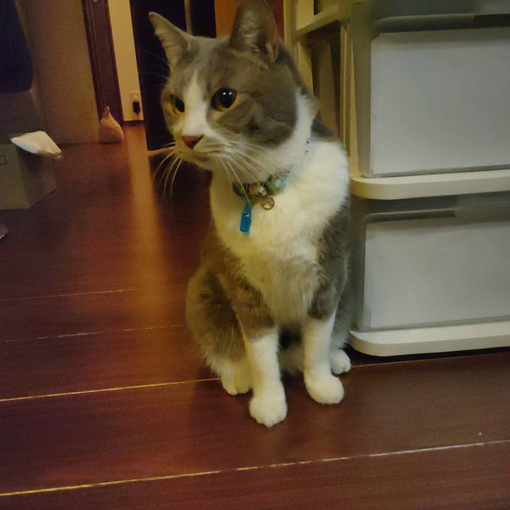 369ed55e 7bce 45f4 944c 8f8f09296105 1675033294240