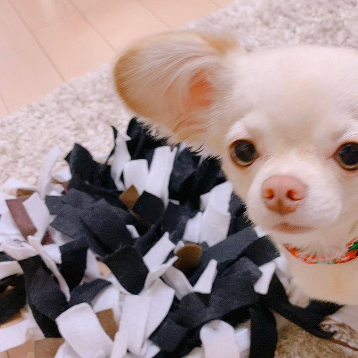 369eff15 27ea 4fa3 a385 791b3816c858 1629031570513