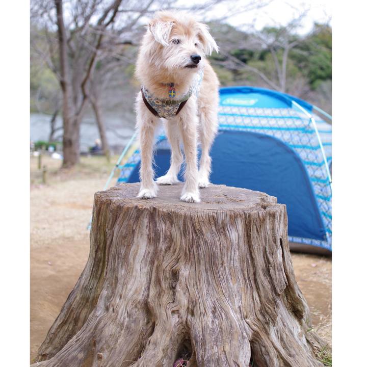 369f1307 edfc 4780 9a9b 6e1c64690360 1606138093347