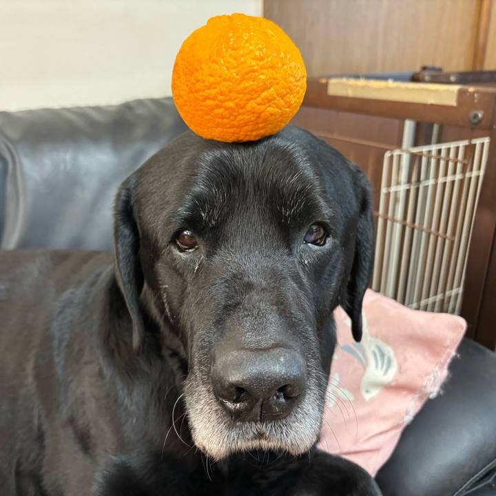 369f30a4 9cbb 4e40 80d6 923c06cace04 1773199961069