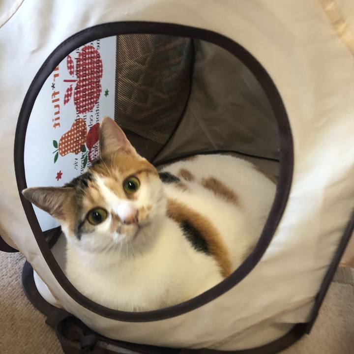 369f65cc a992 4d9b 9c66 b079e339e25d 1601336281105